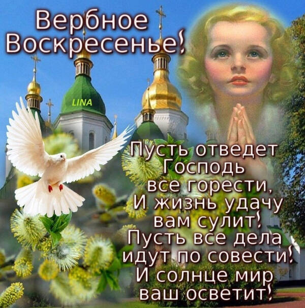 https://upforme.ru/uploads/0012/5a/ef/277/t264784.jpg