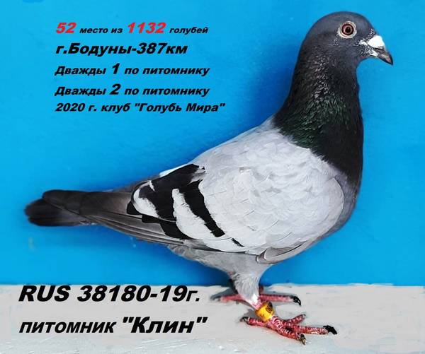 https://upforme.ru/uploads/0012/5a/ef/277/t371099.jpg