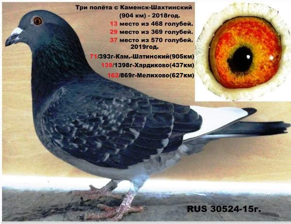 https://upforme.ru/uploads/0012/5a/ef/277/t572578.jpg