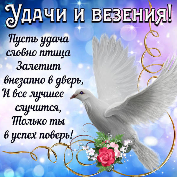 https://upforme.ru/uploads/0012/5a/ef/277/t62247.jpg