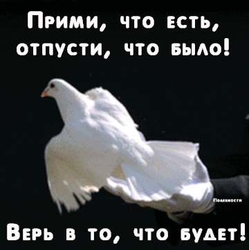 https://upforme.ru/uploads/0012/5a/ef/277/t831977.gif