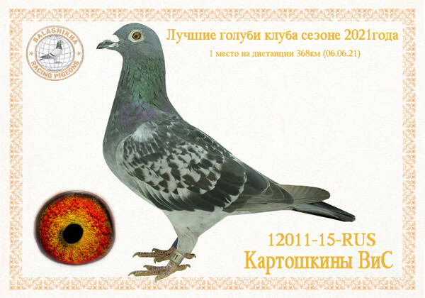 https://upforme.ru/uploads/0012/5a/ef/279/t12011.jpg