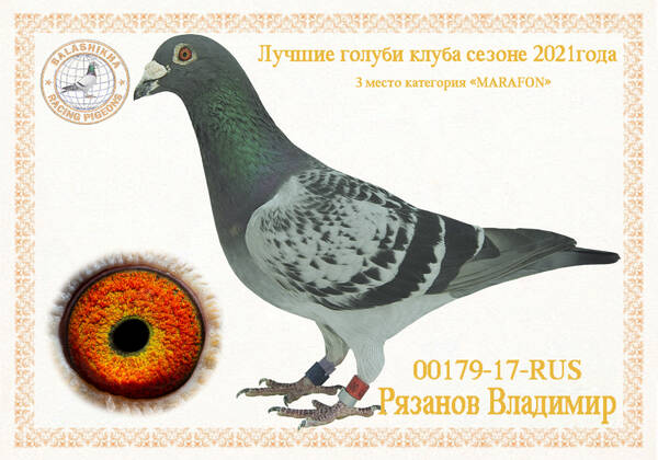 https://upforme.ru/uploads/0012/5a/ef/279/t120192.jpg