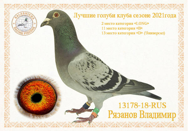 https://upforme.ru/uploads/0012/5a/ef/279/t13178.jpg