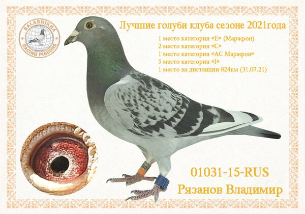 https://upforme.ru/uploads/0012/5a/ef/279/t140925.jpg