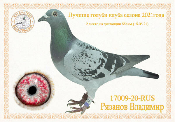 https://upforme.ru/uploads/0012/5a/ef/279/t17009.jpg