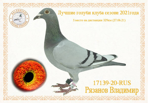https://upforme.ru/uploads/0012/5a/ef/279/t17139.jpg