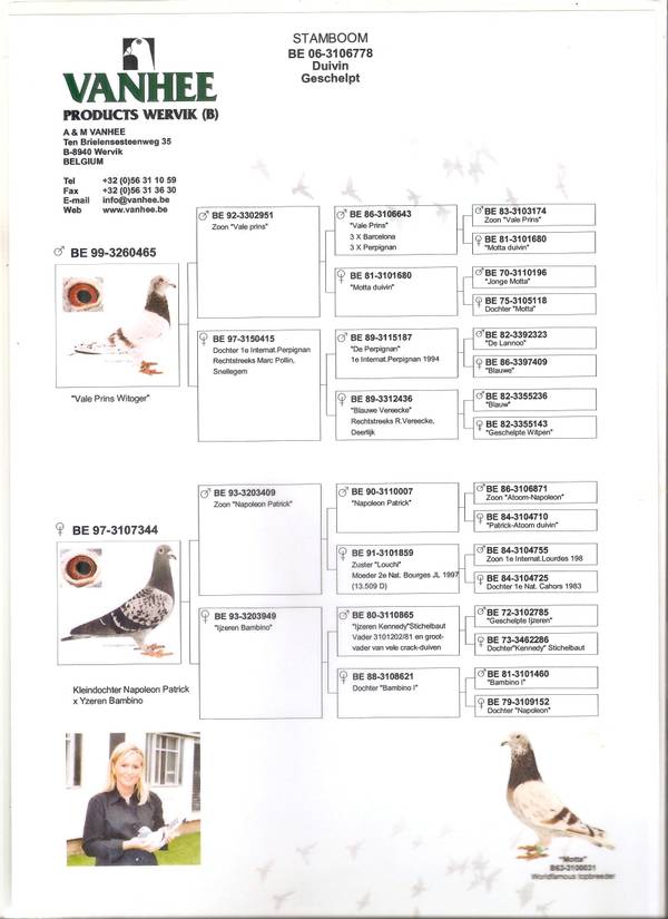 https://upforme.ru/uploads/0012/5a/ef/279/t17713.jpg