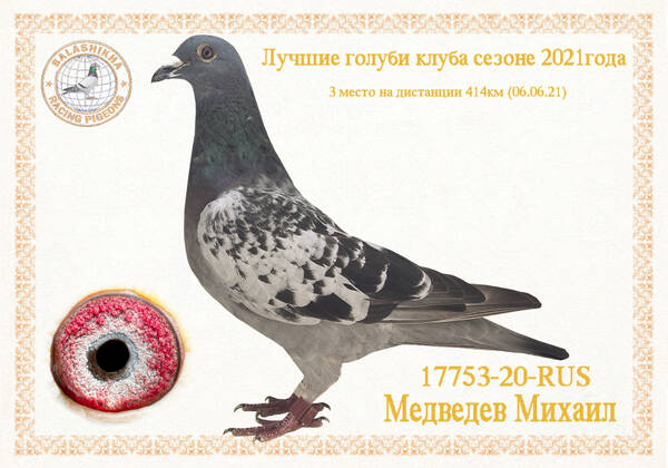 https://upforme.ru/uploads/0012/5a/ef/279/t17753.jpg