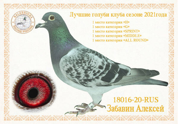 https://upforme.ru/uploads/0012/5a/ef/279/t18016.jpg