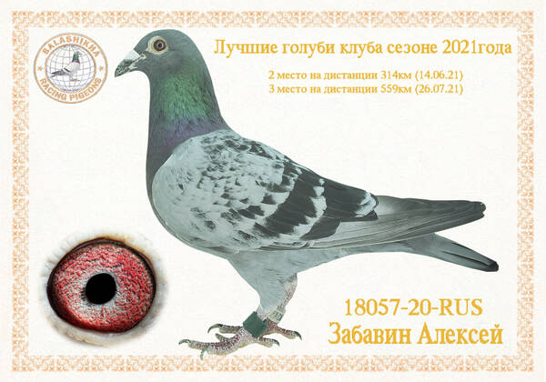 https://upforme.ru/uploads/0012/5a/ef/279/t18057.jpg