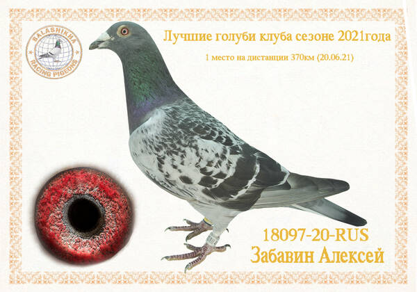 https://upforme.ru/uploads/0012/5a/ef/279/t18097.jpg