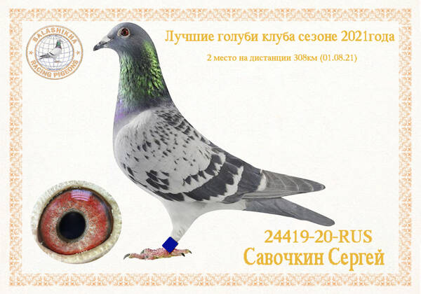https://upforme.ru/uploads/0012/5a/ef/279/t24419.jpg