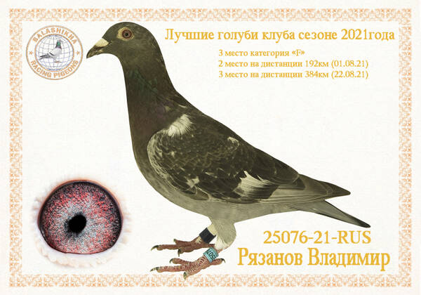 https://upforme.ru/uploads/0012/5a/ef/279/t25076.jpg