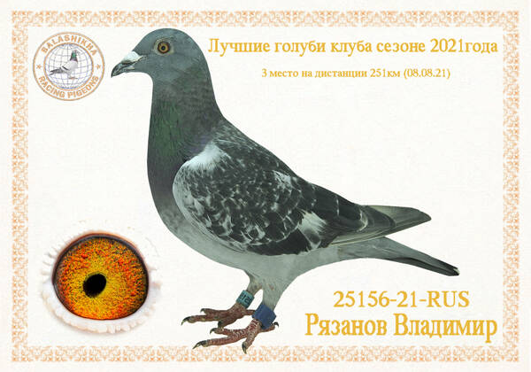https://upforme.ru/uploads/0012/5a/ef/279/t25156.jpg