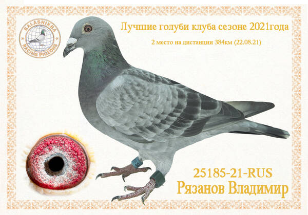 https://upforme.ru/uploads/0012/5a/ef/279/t25185.jpg