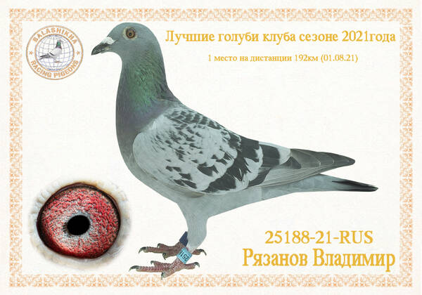 https://upforme.ru/uploads/0012/5a/ef/279/t25188.jpg