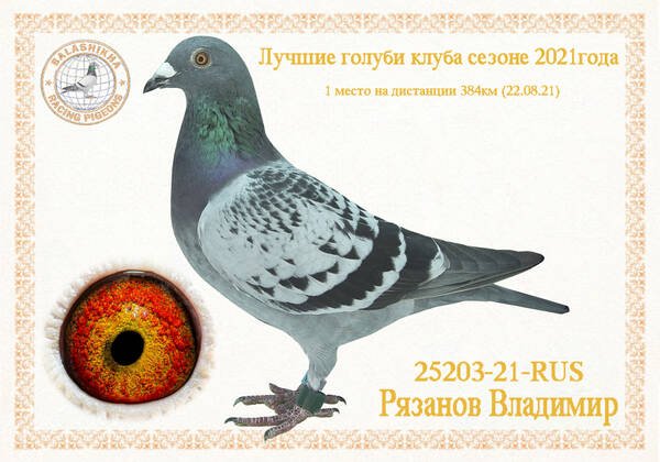 https://upforme.ru/uploads/0012/5a/ef/279/t25203.jpg