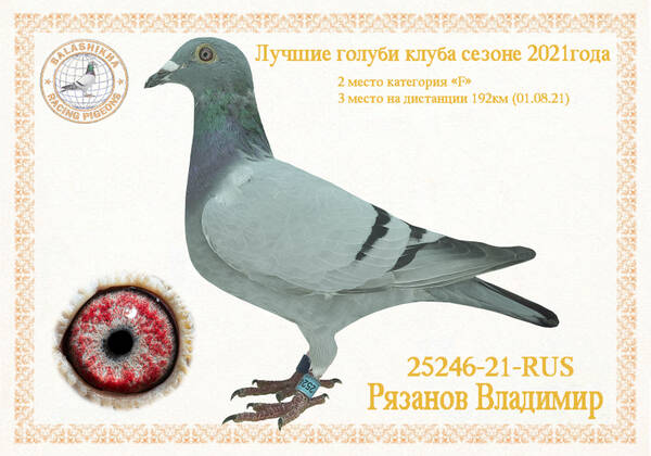 https://upforme.ru/uploads/0012/5a/ef/279/t25246.jpg