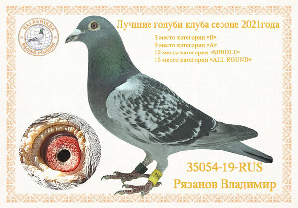 https://upforme.ru/uploads/0012/5a/ef/279/t35054.jpg