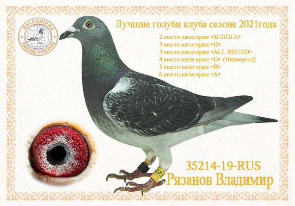 https://upforme.ru/uploads/0012/5a/ef/279/t35214.jpg