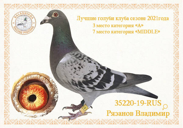 https://upforme.ru/uploads/0012/5a/ef/279/t35220.jpg