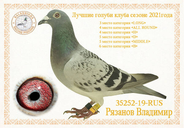 https://upforme.ru/uploads/0012/5a/ef/279/t35252.jpg