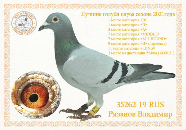 https://upforme.ru/uploads/0012/5a/ef/279/t35262.jpg