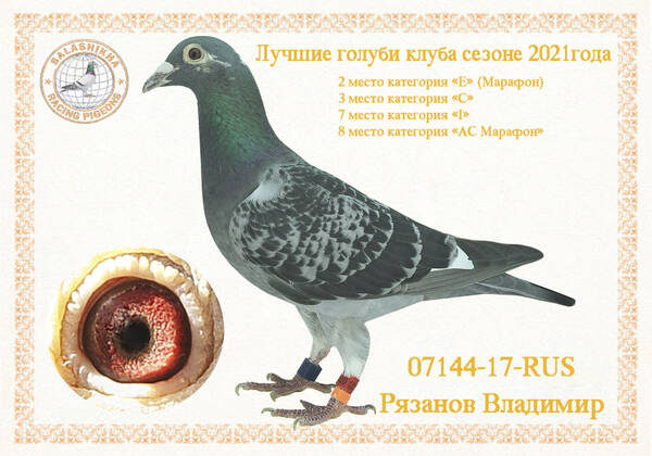 https://upforme.ru/uploads/0012/5a/ef/279/t36548.jpg