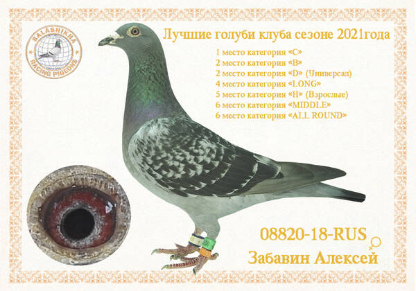 https://upforme.ru/uploads/0012/5a/ef/279/t368976.jpg