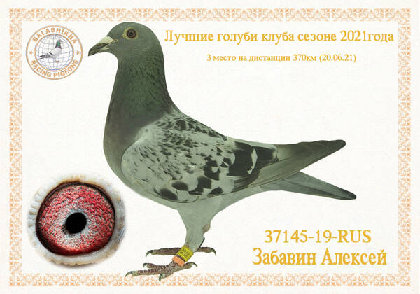https://upforme.ru/uploads/0012/5a/ef/279/t37145.jpg