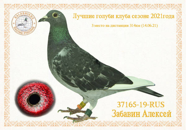 https://upforme.ru/uploads/0012/5a/ef/279/t37165.jpg