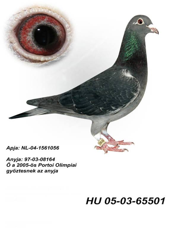 https://upforme.ru/uploads/0012/5a/ef/279/t43969.jpg