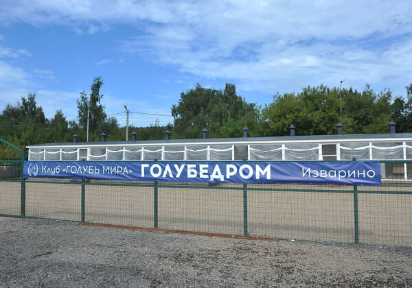 https://upforme.ru/uploads/0012/5a/ef/279/t46864.jpg