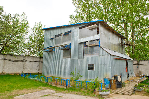 https://upforme.ru/uploads/0012/5a/ef/279/t575251.jpg