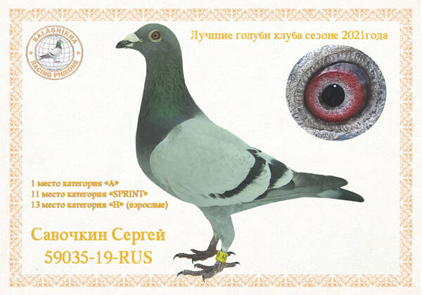 https://upforme.ru/uploads/0012/5a/ef/279/t59035.jpg