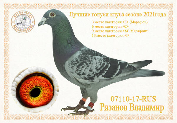 https://upforme.ru/uploads/0012/5a/ef/279/t612280.jpg