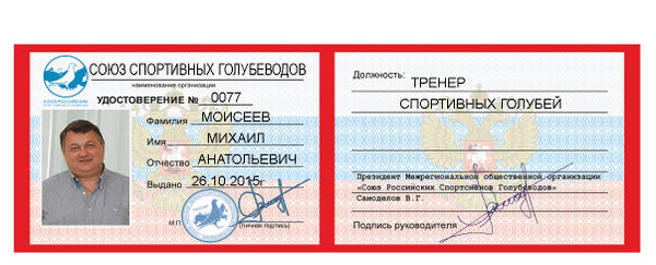 https://upforme.ru/uploads/0012/5a/ef/279/t909005.jpg