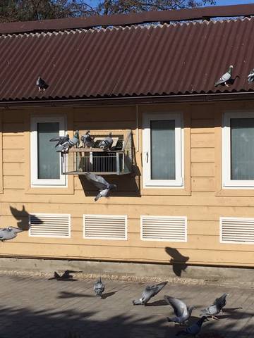 https://upforme.ru/uploads/0012/5a/ef/280/t295336.jpg