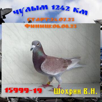 https://upforme.ru/uploads/0012/5a/ef/300/t579402.jpg