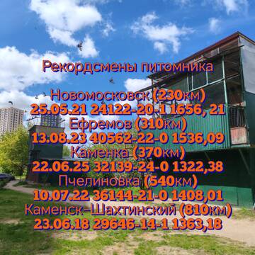 https://upforme.ru/uploads/0012/5a/ef/300/t669033.jpg