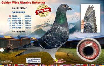 https://upforme.ru/uploads/0012/5a/ef/345/t117161.jpg
