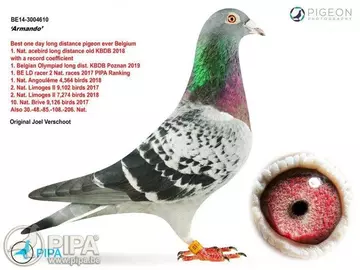 https://upforme.ru/uploads/0012/5a/ef/345/t152434.webp