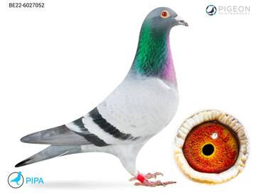 https://upforme.ru/uploads/0012/5a/ef/345/t370558.jpg