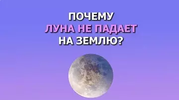 https://upforme.ru/uploads/0012/5a/ef/345/t564984.webp