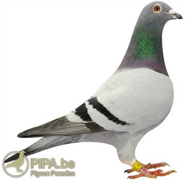 https://upforme.ru/uploads/0012/5a/ef/345/t68523.png