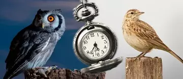 https://upforme.ru/uploads/0012/5a/ef/345/t982578.webp