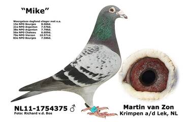 https://upforme.ru/uploads/0012/5a/ef/364/t828652.jpg