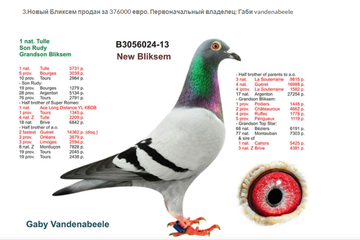 https://upforme.ru/uploads/0012/5a/ef/9/t119706.png