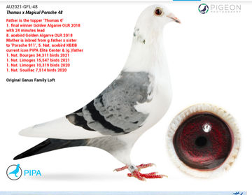 https://upforme.ru/uploads/0012/5a/ef/9/t129050.png